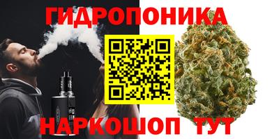 дурь Берёзовский